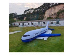 Umpan Pesawat Kembung